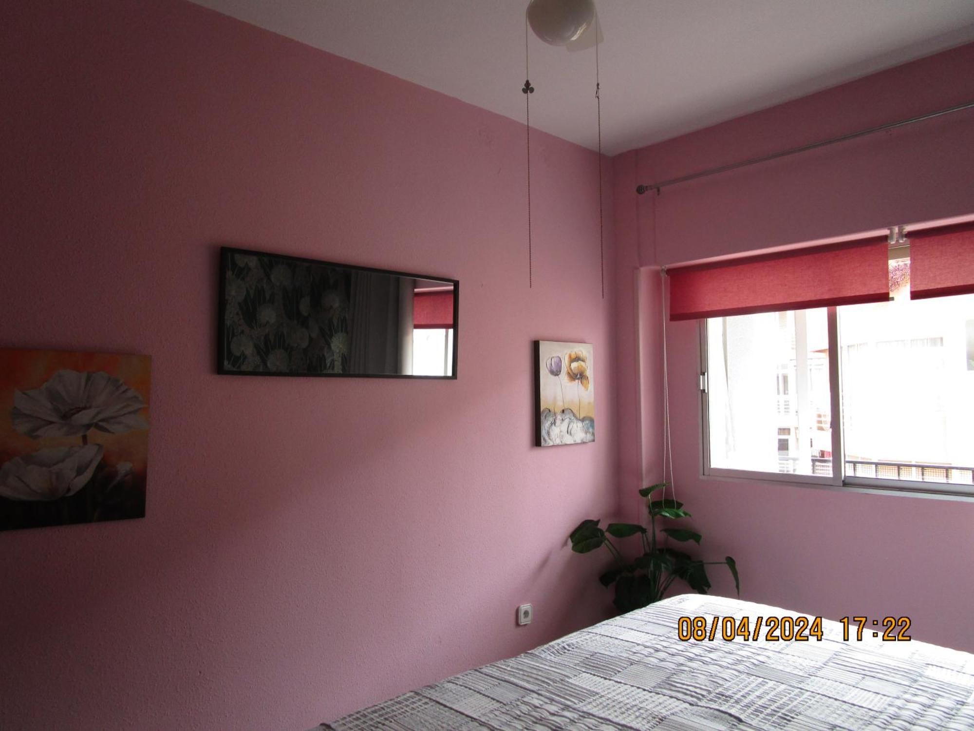 Rosamar Apartment Torrevieja Ngoại thất bức ảnh